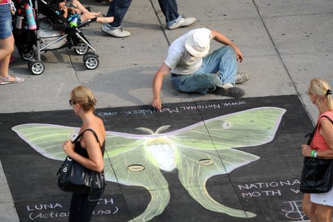 Street artist
Jean-Pierre Lebel on George Street - Jul. 22, 2012