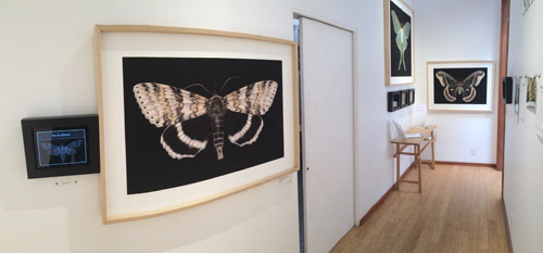 G2 Galley -
Feb. 2015