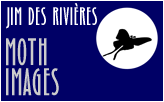 Jim des
              Rivieres Moth Images